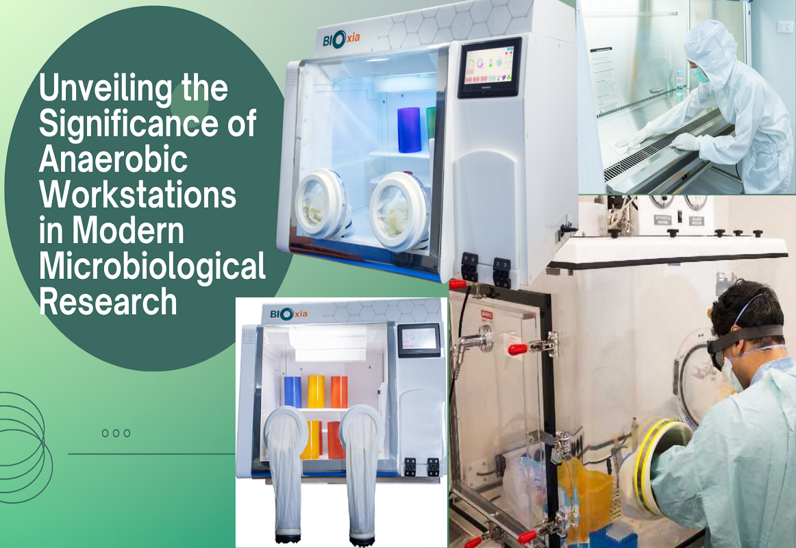 BIOSAFETY CABINET Manufacture by bioxia